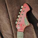 Koupím originální kobylku a pickguard Jolana Tornádo 