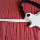 Washburn PXL20EWH Parallaxe