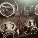 Roland JC-160 80’s Japan