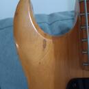 Gibson Ripper 1974
