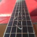 Elektroakustická kytara FURCH D-25 CR