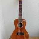 Celomasivní Ukulele lanikai acs-c, nové v záruce