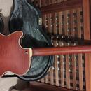 D'Angelico Deluxe DLX SSTP Semi-Hollow Single Cutaway