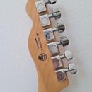 Fender Player Telecaster PF 3TS