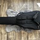 Elektroakustická baskytara Fender