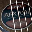 Yamaha APX 700 II NT