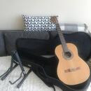 Godin Patrie concert