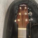 Walden Guitars