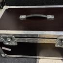 Laney Lionheart L20H + Palmer reprobox + custom hard case