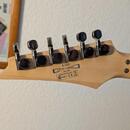 Ibanez S320
