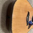 Taylor 910e / R.V 2014 / DREADNOUGHT /