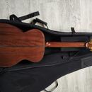 Cort O6 Gold - akustická celomasívna gitara 