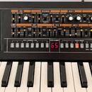 Roland Boutique JP-08 Jupiter + K-25M