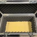 Laney Lionheart L20H + Palmer reprobox + custom hard case