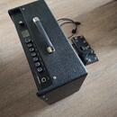 Fender mustang gtx100