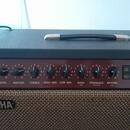 YAMAHA DG100