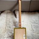 Cigar Box Guitar