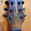Pasadena d355s - nejvyšší model