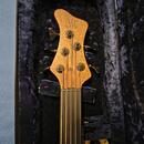 Mayones BE5 fretless