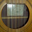 12-strunná kytara Cremona acoustic
