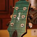 Prodám kytaru Avaks ES-335