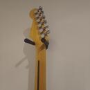 Frankenstrat
