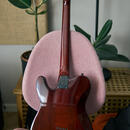 LTD TE-200 Tobacco Sunburst + TOP Upgrady