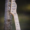 Fender Telecaster (S8 Ser. No. – Fullerton)