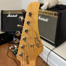 Telecaster FGN
