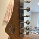 Telecaster FGN
