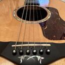 Taylor 910e / R.V 2014 / DREADNOUGHT /