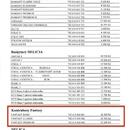 El. kontrabas DELICIA Fantasy 