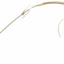 Sennheiser Headmic 1 (3ks V ZÁRUCE)
