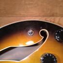 Ibanez artcore AG75