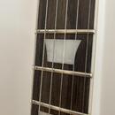 Les Paul Max Music