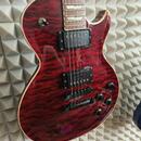 ESP ECLIPSE STANDARDS SERIES JAPAN