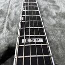 Esp Horizon