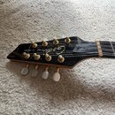 Černá hlava mandolíny s nápisem Godin a označením A8 - Mandolin. Nástroj má zlaté ladičky s bílými knoflíky. Povrch je hladký a bez viditelných poško…