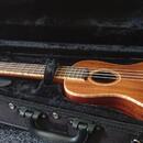 Celomasivní Ukulele lanikai acs-c, nové v záruce