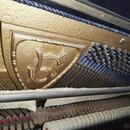 Prodám koncertní piano