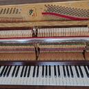 Pianino PETROF (mod.115 III) - Po gen. opravě, jasný původ