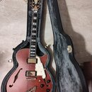 D'Angelico Deluxe DLX SSTP Semi-Hollow Single Cutaway