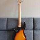 Peavey Milestone 5BXP