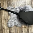 Elektroakustická baskytara Fender