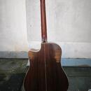 Furch Vintage 2 Dc-SR