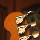 Prodávám kytaru Fender Stratocaster