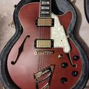 D'Angelico Deluxe DLX SSTP Semi-Hollow Single Cutaway