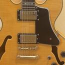 Fokus Guitar Semi-Hollow ES-335 style TOP stav, krásný javor
