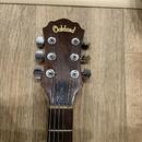 Oakland XS136