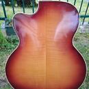 Kytara    Rex Archtop (Graubner 1960)